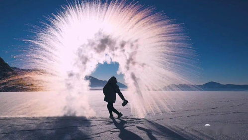 新疆旅游 花儿为什么这么红