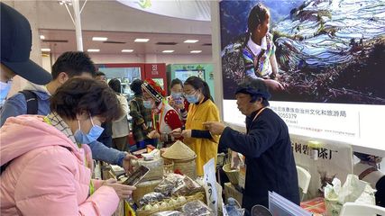 东盟博览会旅游展举行主题省推介会 红河文旅大放异彩