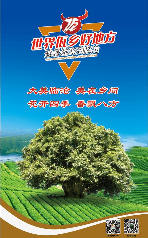 临沧乡村旅游精彩亮相2020厦门国际投资贸易洽谈会暨丝路投资大会