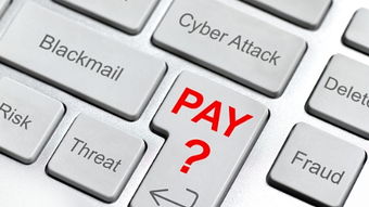 新民头条 新 为民分忧 与民同乐