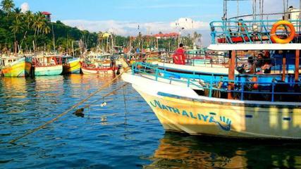 欧美拒绝投资的地方,中国把它变成新"蛇口",外媒又眼红了