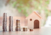 国内旅游投资之怪现状 热钱涌动下的冷思考